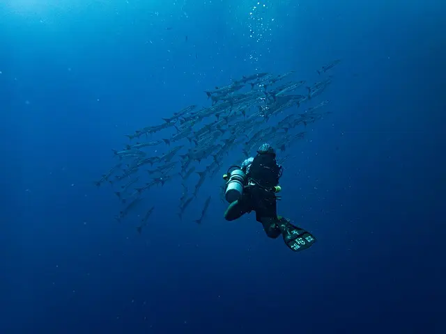 Les meilleures techniques pour réussir une exploration sous-marine