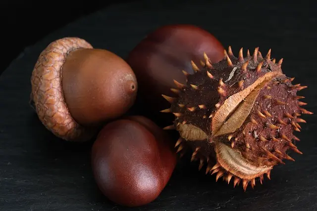 Comment Choisir le Bon Panier de Fruits pour Chaque Saison