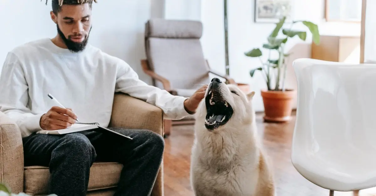 10 Ingenious Ways to Create a Pet-Friendly Office Space