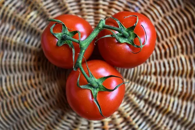 5 Erreurs Communes à Éviter dans un Plan d'Alimentation Saine