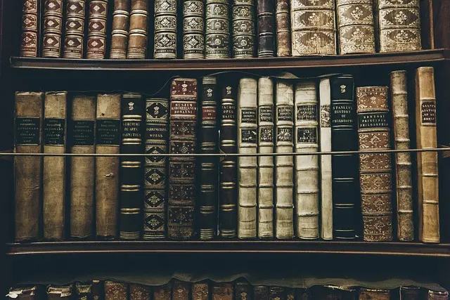 Pourquoi collectionner des objets anciens ? Avantages et conseils pratiques
