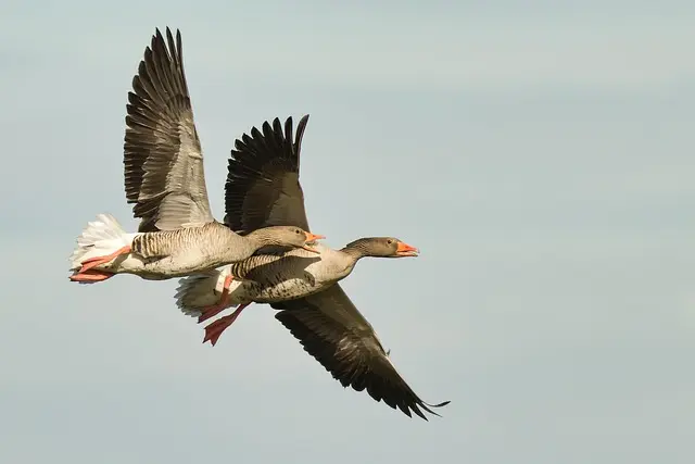 Die besten Tipps zur Buchung günstiger Flug- und Reiseangebote