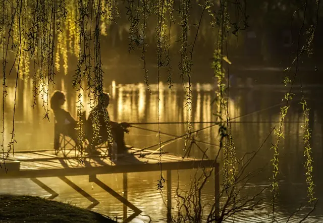 Top 10 Techniques for Mindful Leisure Activities