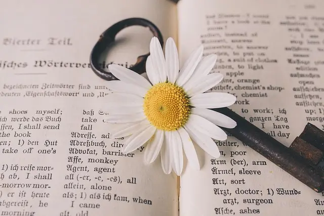 Comprendre la valeur des objets anciens : Guide complet