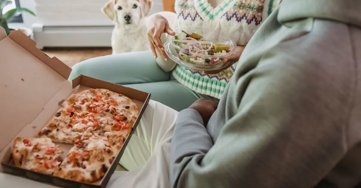Comment bien choisir la nourriture pour un chien senior