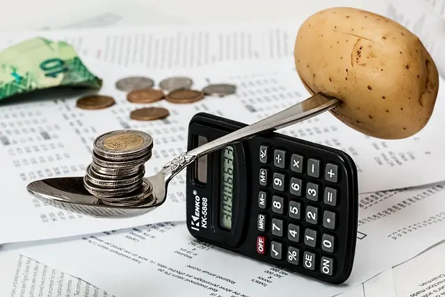 Comment établir un budget maîtrisé pour vos projets personnels