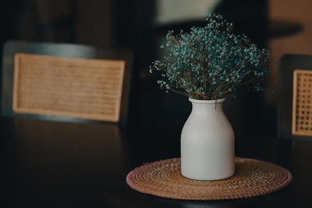 5 Ideas Innovadoras para Decorar tu Hogar Económicamente