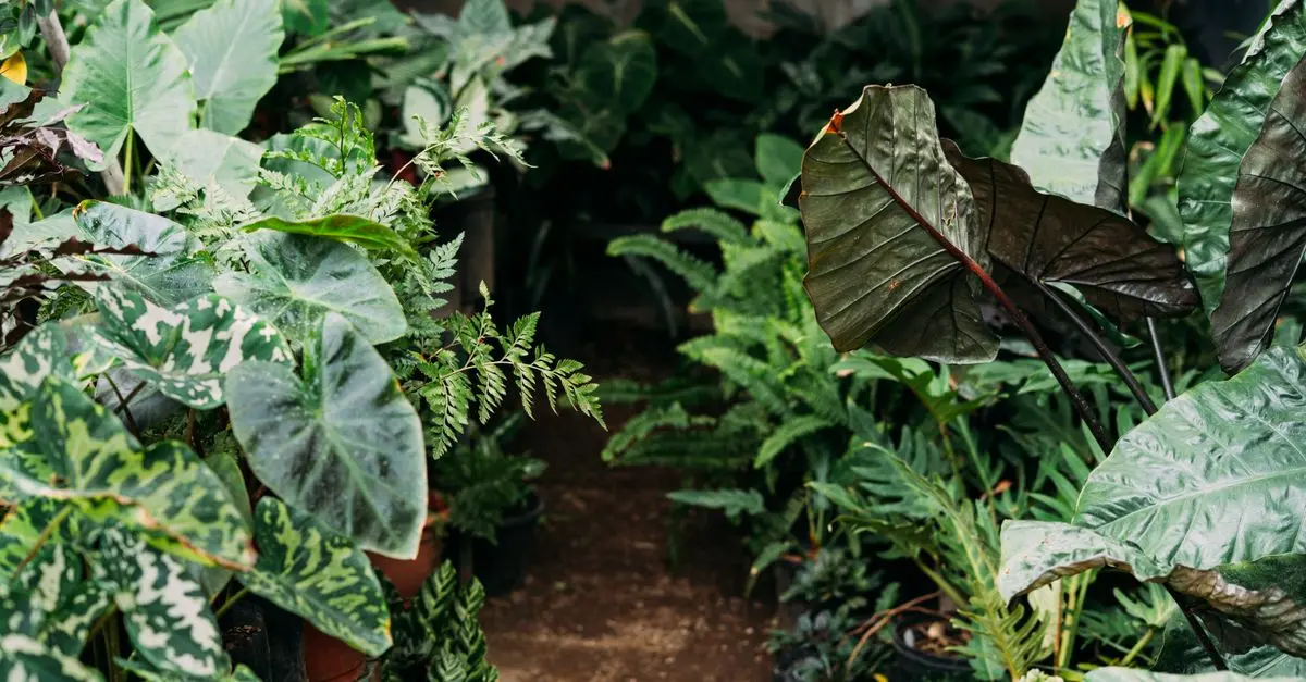5 pratiques essentielles pour un jardin bio florissant