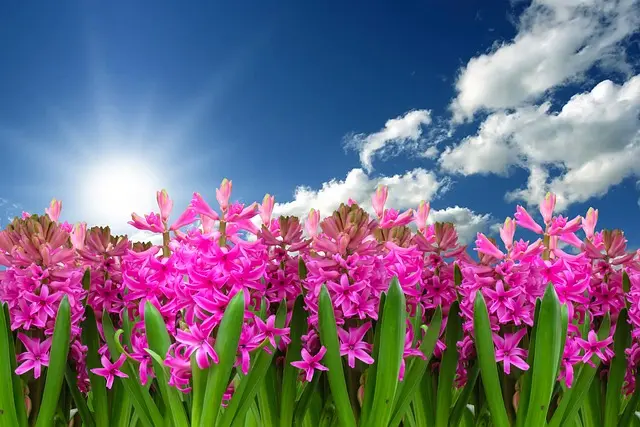 Les Meilleures Astuces pour un Teint Parfait au Printemps