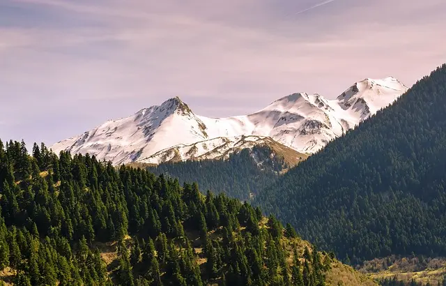 Les Destinations Écologiques à Visiter : Tendance 2026