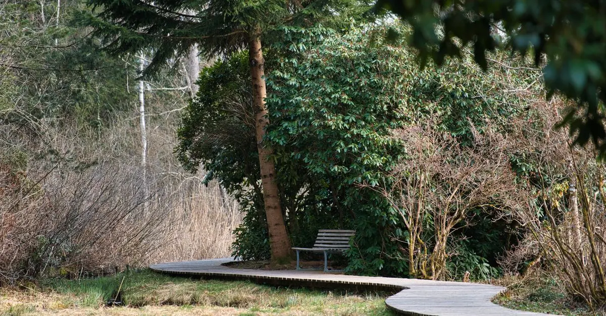 10 Relaxing Weekend Activities to Unwind and Recharge