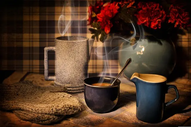 Comment Organiser un Apéritif D'Hiver Convivial