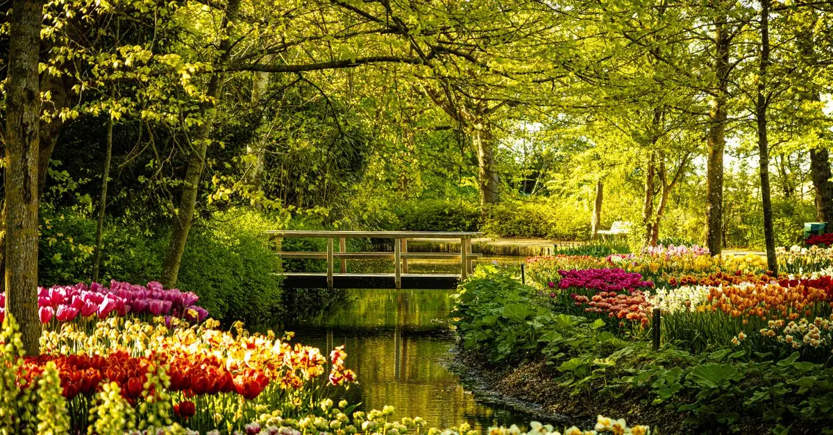 Les Bienfaits Insoupçonnés de la Nature pour Maîtriser Votre Stress