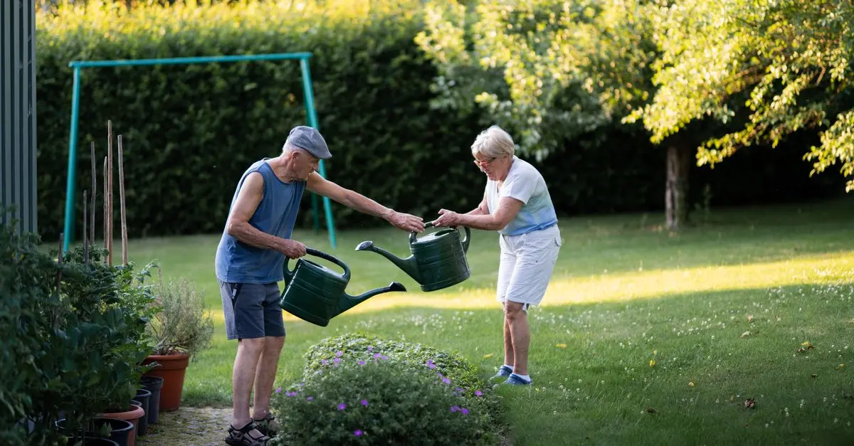 Meilleurs produits pour l'entretien des plantes
