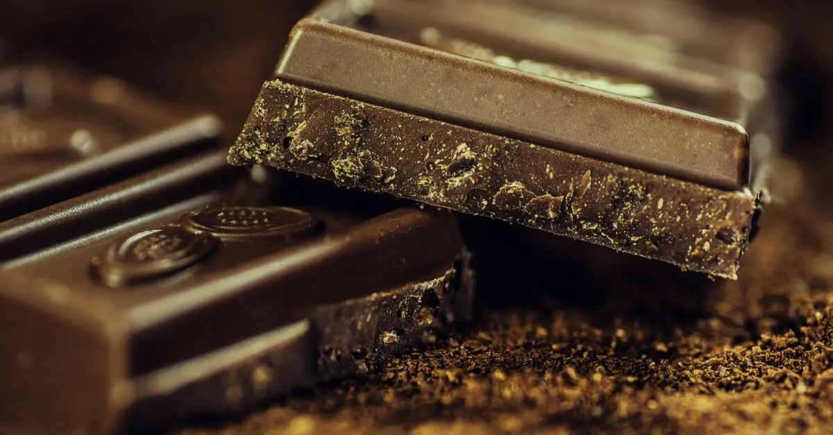 Meilleur chocolat noir bio : Guide d'achat complet