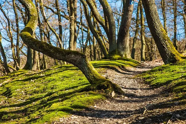 5 Essential Techniques to Boost Your Running Efficiency