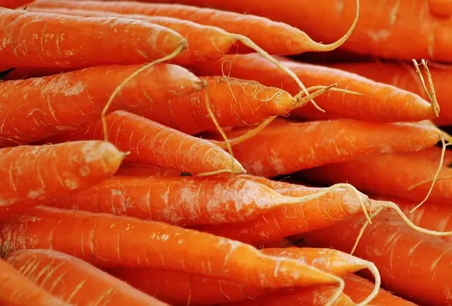 Les Bienfaits Incroyables des Légumes : Pourquoi les Consommer ?
