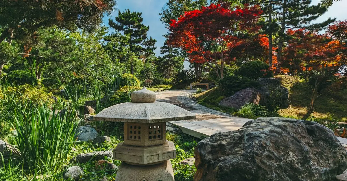 5 Rituels de Bien-Être à Adopter pour votre Escapade