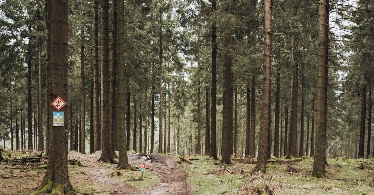 10 Astuces pour un Séjour Écologique en Plein Air