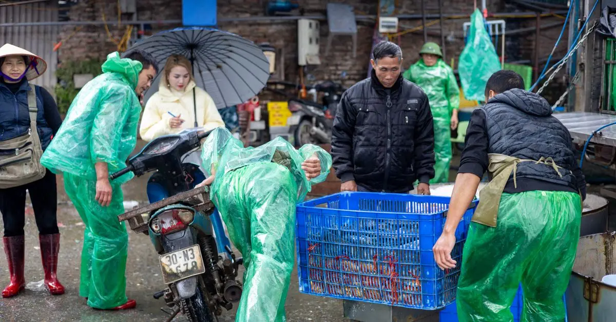 7 Astuces Pour Bien Choisir Votre Poisson Frais au Marché