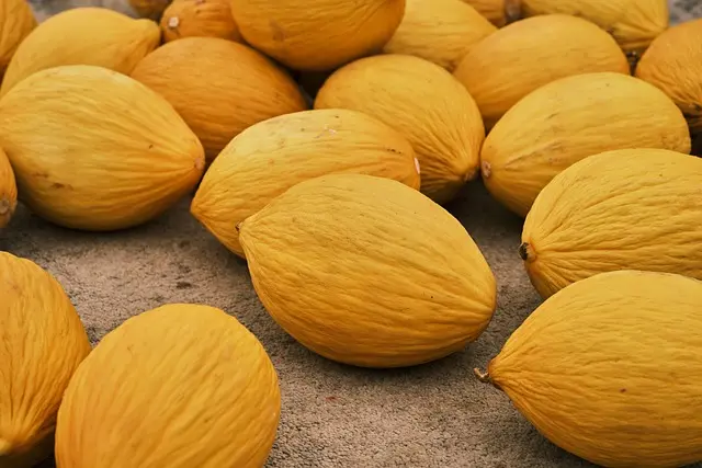 Pourquoi Choisir des Fruits de Saison pour Votre Santé