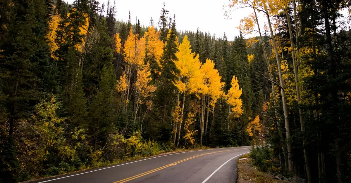 Les Routes Panoramiques Idéales pour un Voyage en Famille
