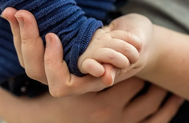 Tout savoir sur les réfrigérateurs connectés