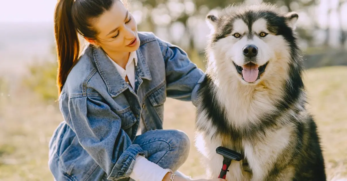 Top Tips for Managing Multiple Pets at Home