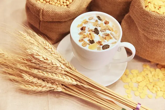 5 Astuces Pour Adapter Votre Plan d'Alimentation Saine
