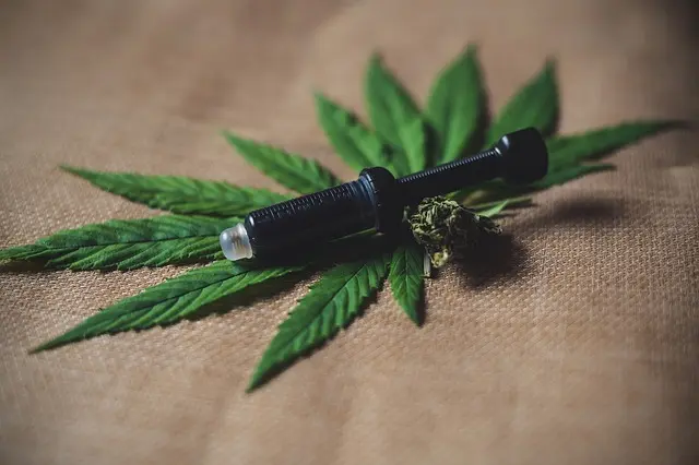 Guide complet pour choisir son huile de CBD
