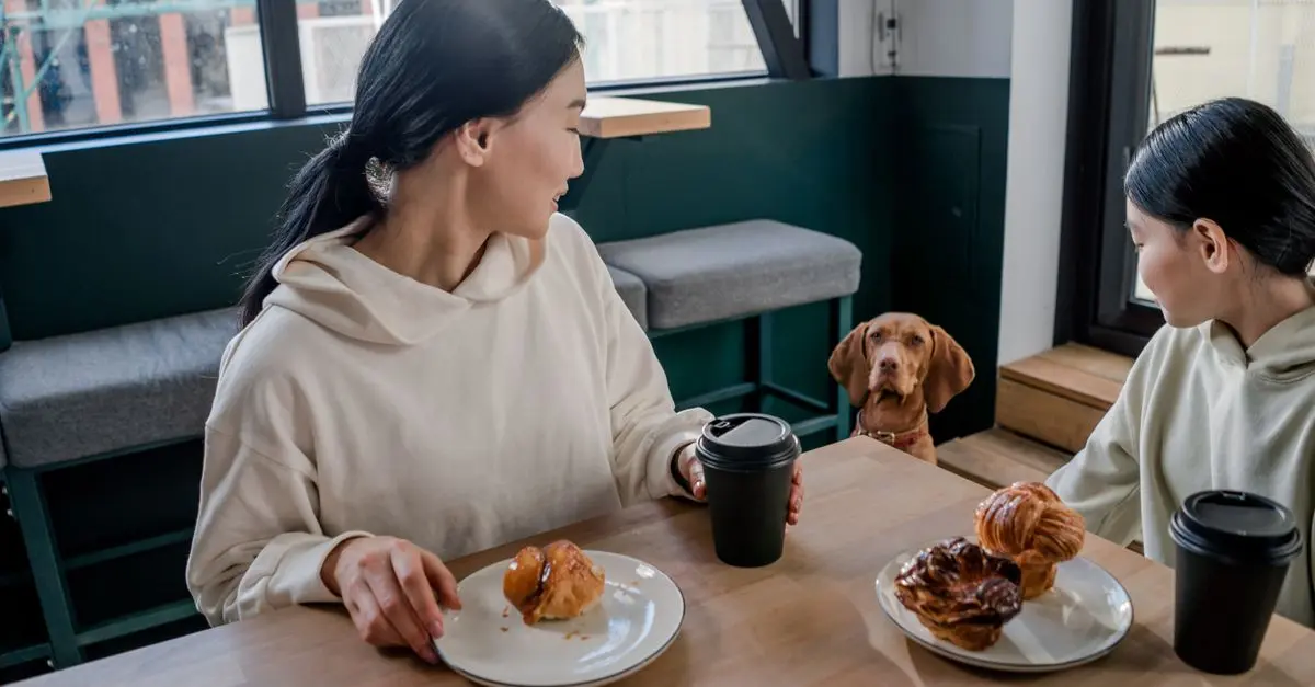 A Guide to Starting a Pet-Friendly Business