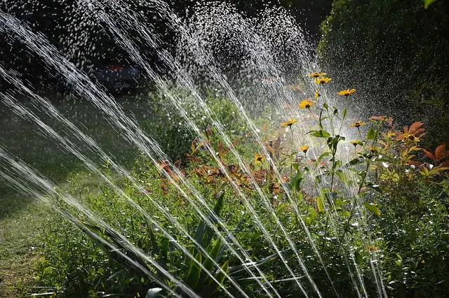 Comment choisir le bon système d'irrigation pour votre jardin