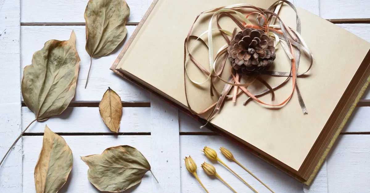 Creative Writing Tips for Aspiring Authors