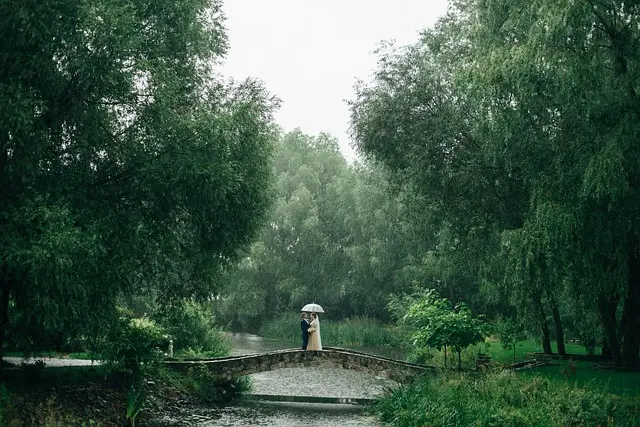 Les 10 Rituels Émotionnels à Intégrer pour Élever Votre Mariage
