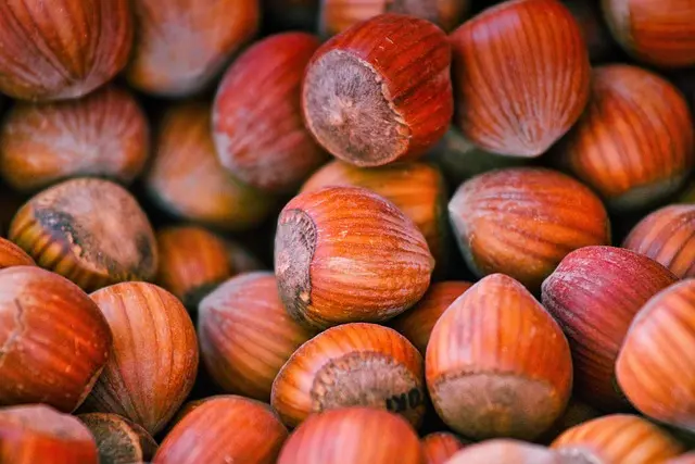Cómo elegir superalimentos para maximizar tu energía diaria