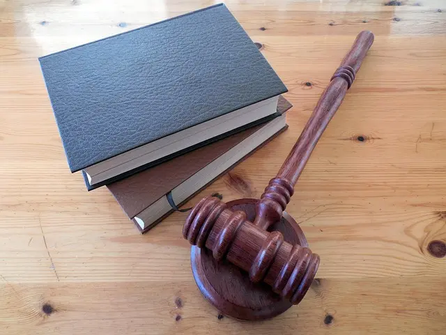 The Best Legal Career Paths to Consider for Your Future