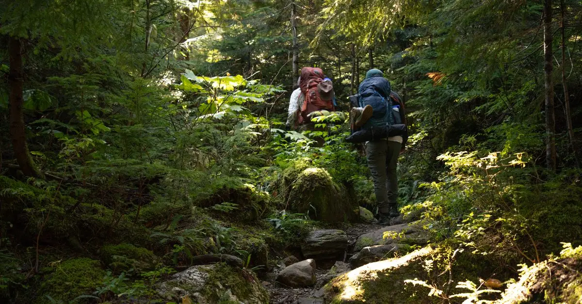 How to Travel Responsibly and Explore the World Today