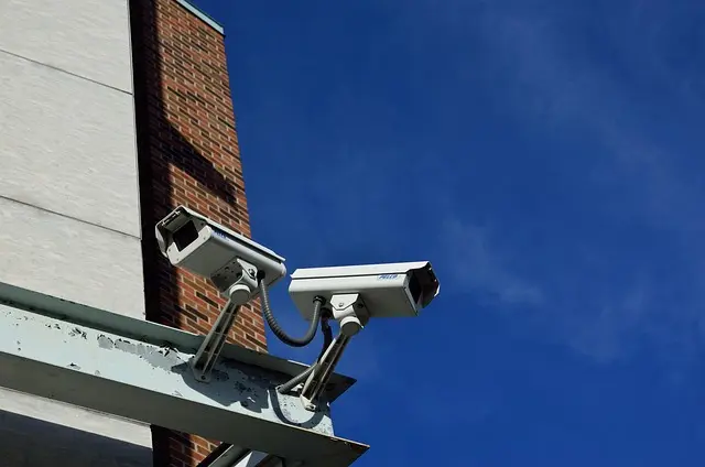 Tout Savoir sur les Différents Services de Sécurité