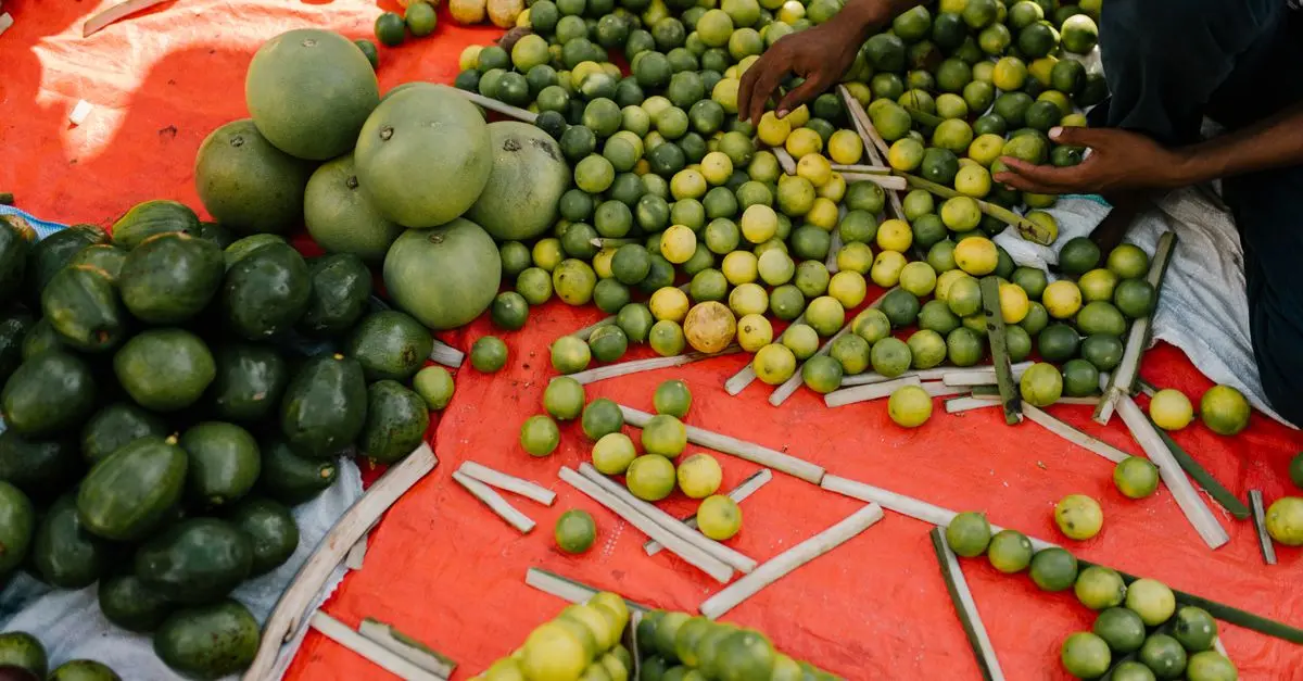 Les Meilleures Techniques pour Préserver vos Fruits