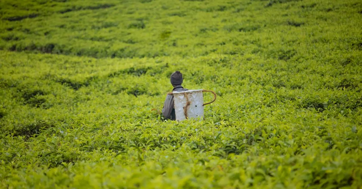 Comment choisir les pièces agricoles pour vos cultures spécifiques