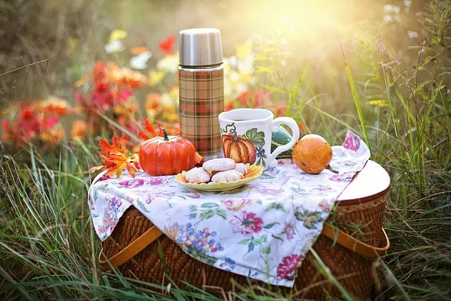Cómo organizar un picnic perfecto: consejos prácticos y recetas