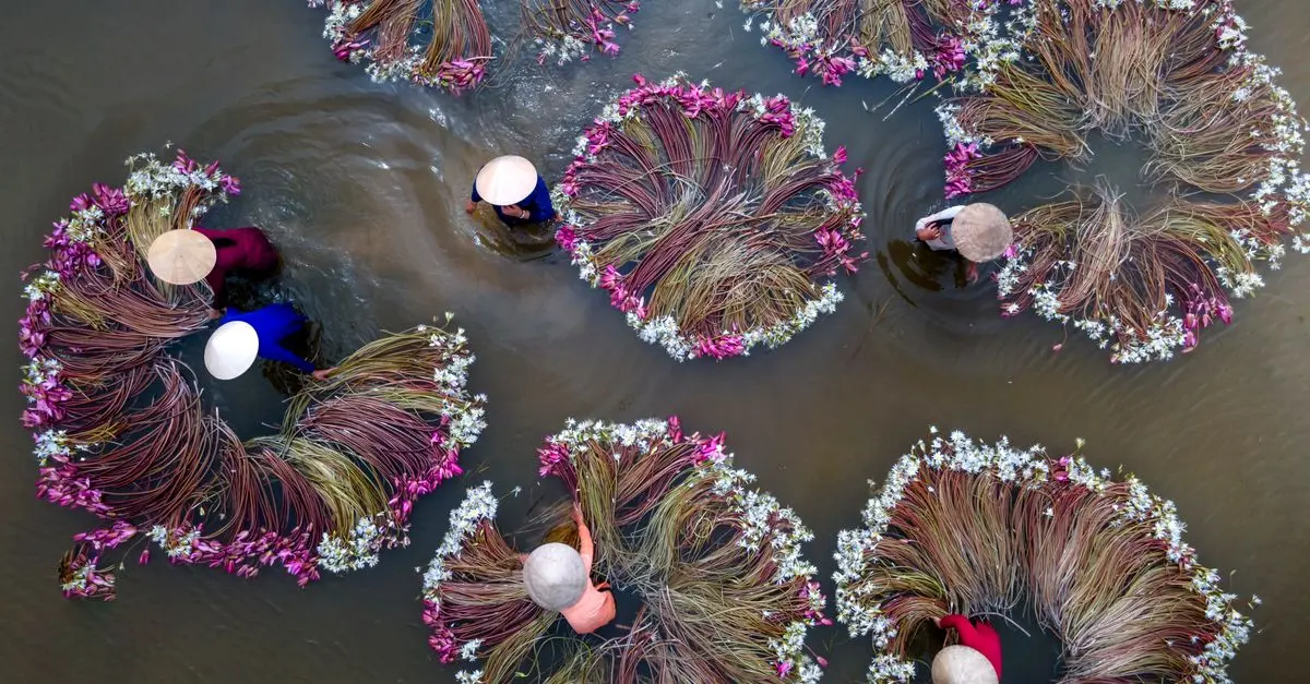 Les pays d'Asie : Caractéristiques et cultures à découvrir