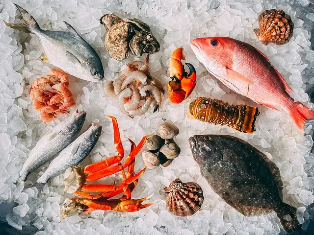 Guide Complet pour Choisir des Fruits de Mer Frescs