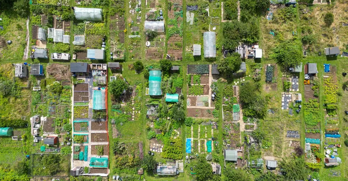 Guide Complet pour Cultiver des Légumes en Permaculture
