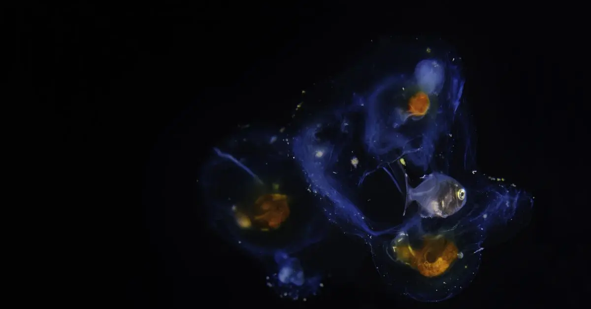 Les fascinantes adaptations des poissons dans le monde