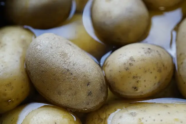 Los Secretos de la Comida Casera Española: Recetas y Tips