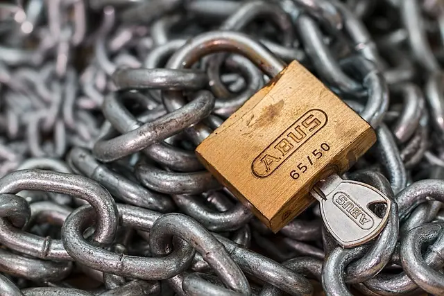 Les meilleures pratiques pour sécuriser vos données en ligne