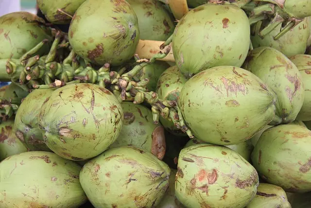 Les 10 Meilleurs Fruits de Saison à Ne Pas Manquer