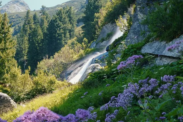 Les meilleures activités à faire pour des vacances inoubliables