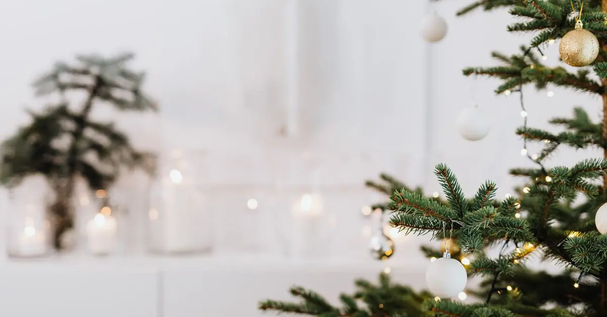 Les tendances de décoration lumineuse pour l'extérieur